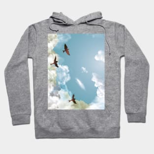 Blue sky Hoodie